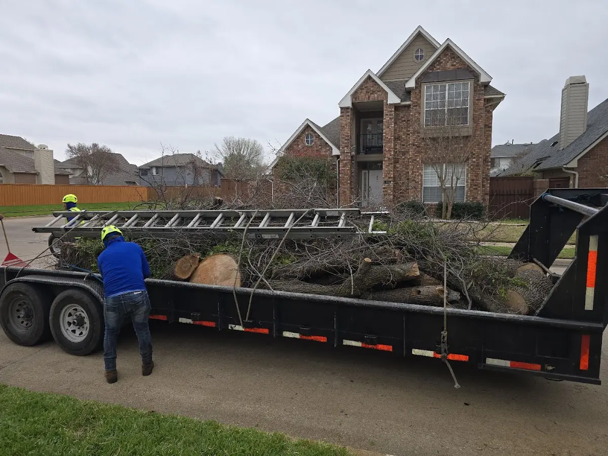 Expert Tree Fertilization with proper safety equipment in Cumberland Furnace